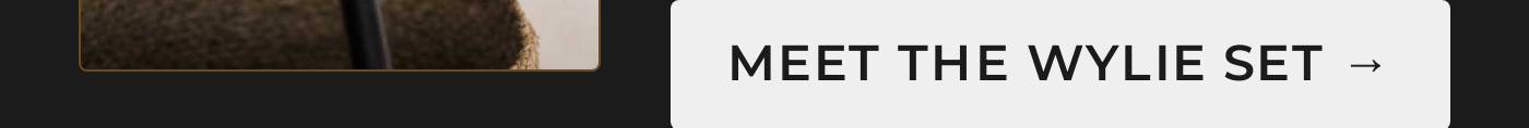Meet the Wylie Set call to action button.