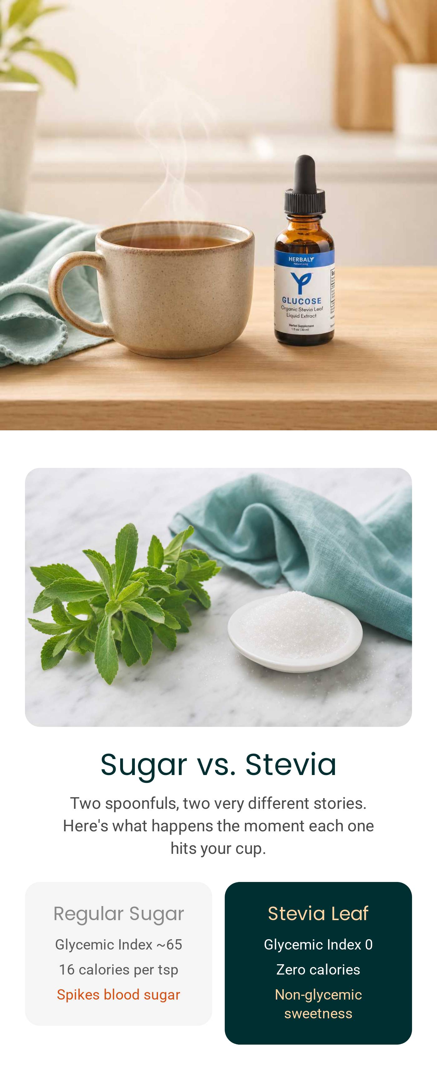 Hot tea with Herbaly Glucose Organic Stevia Leaf Liquid Extract. Sugar vs. Stevia comparison table.