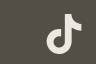 TikTok icon